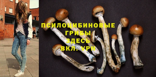 гидра Сатка
