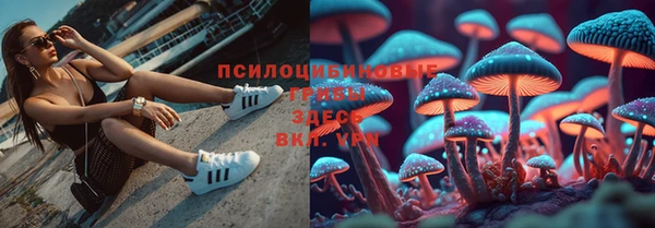 эйфоретик Белоозёрский