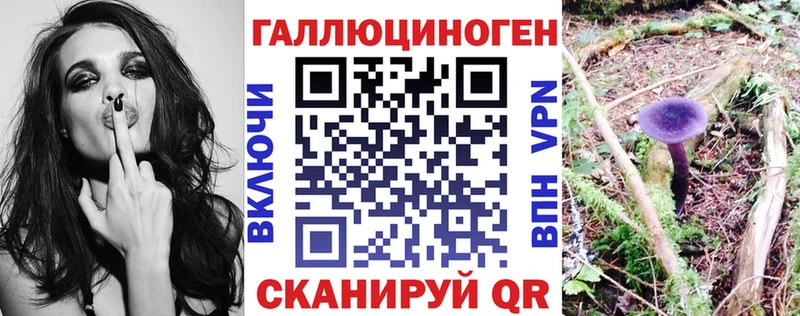 купить  цена  Ковдор  MEGA маркетплейс  Галлюциногенные грибы GOLDEN TEACHER 